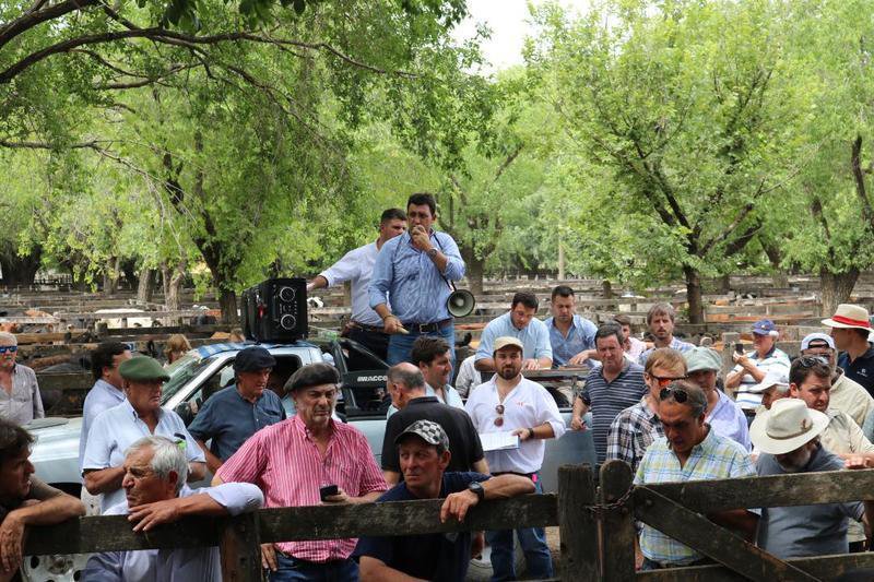 Repuntó el gordo y  calmó la invernada