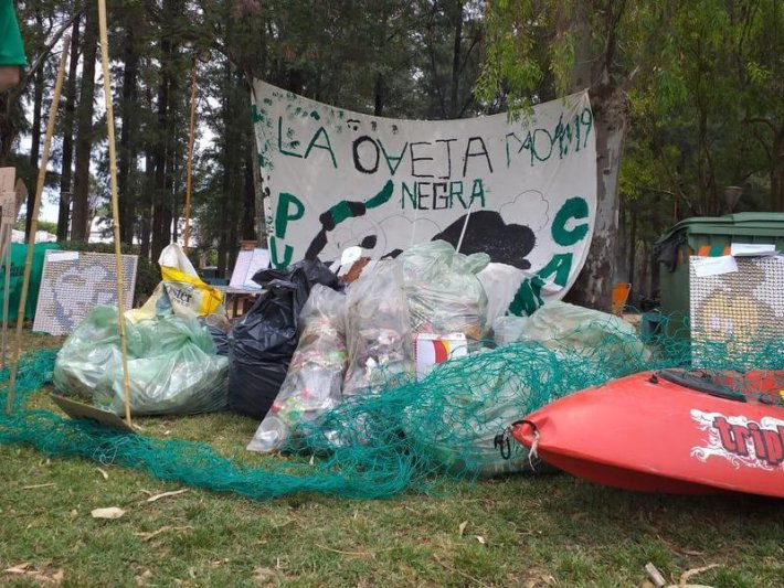 Las ovejas aprovecharon el domingo para limpiar un rato el mundo