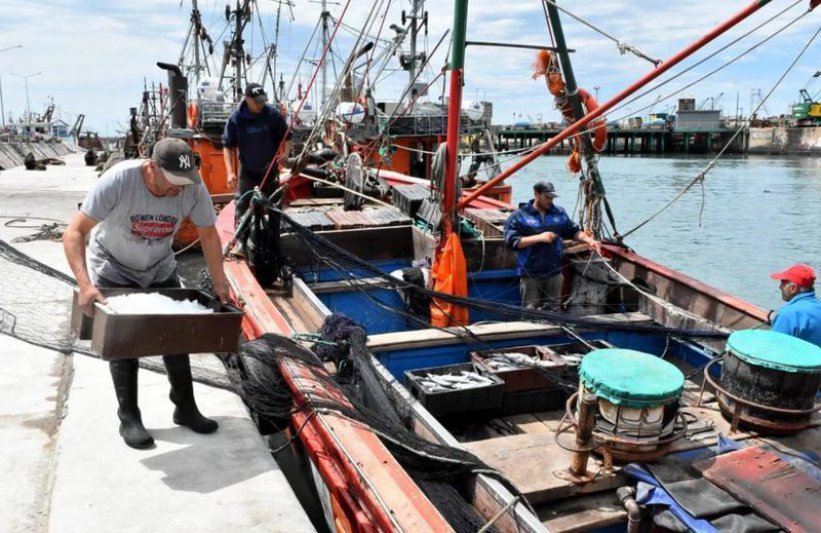 Mar del Plata: 2019 fue un año duro para la pesca y no hay muchas expectativas