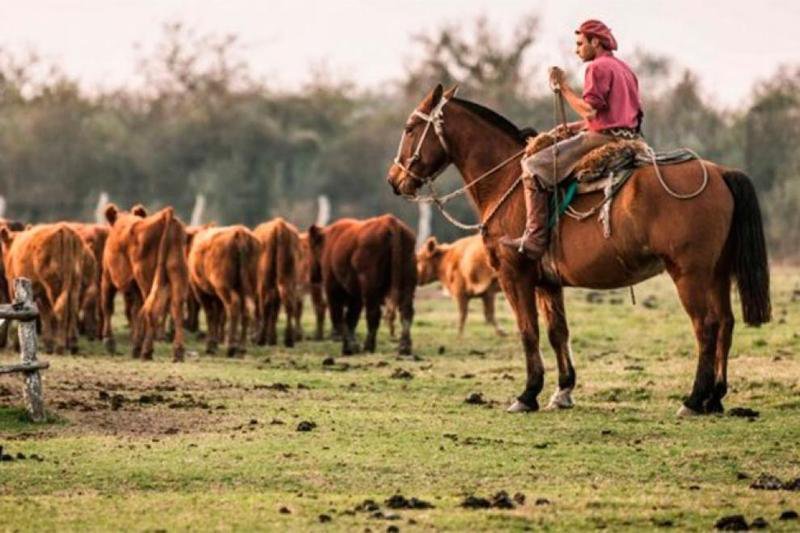 Lanzan programa de reinserción  laboral para trabajadores rurales