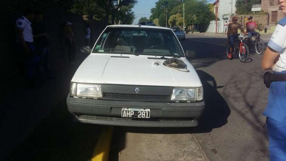 Llevaba marihuana en un auto y fue condenado  a cuatro años y ocho meses de prisión a cumplir