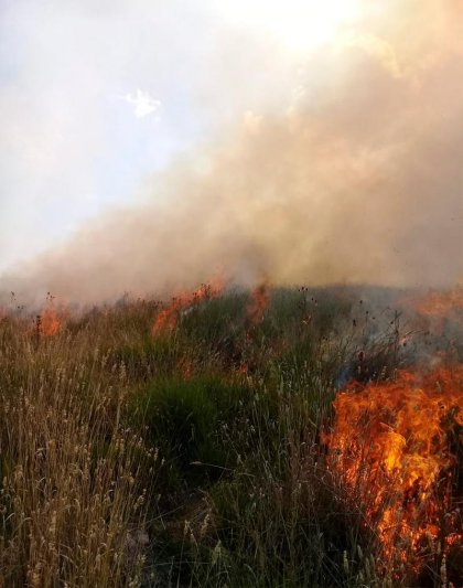 Ardua tarea de bomberos de Azul y Sierras Bayas en un incendio