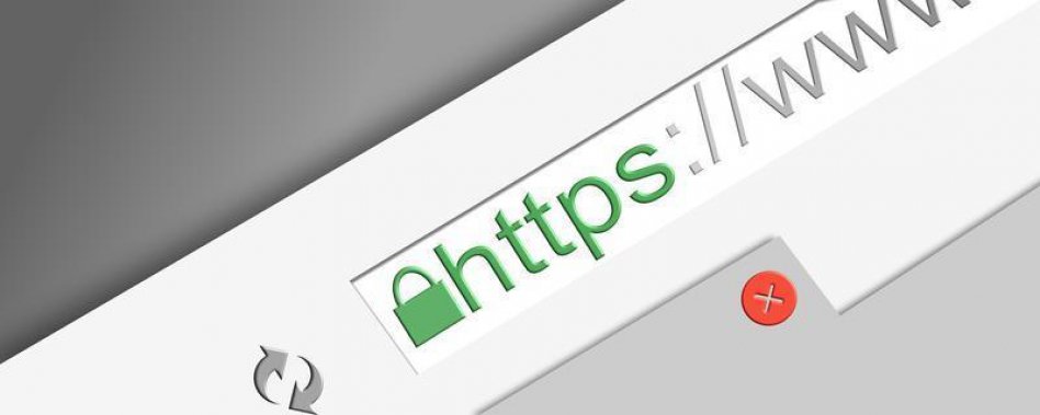 Redes y bancos falsos, las trampas  más usadas para estafar en la Web