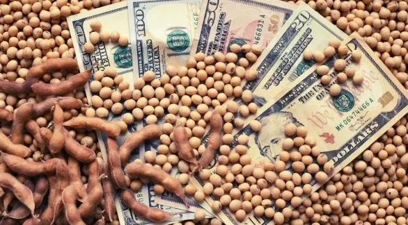 Dato clave para el plan económico del gobierno: el campo liquidó en abril un 32% más