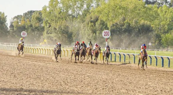 Once carreras en la quinta reunión del año