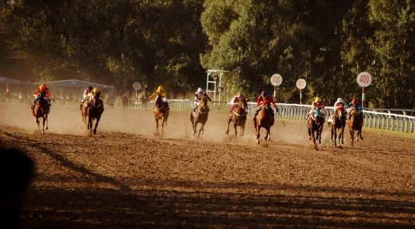 Cornwall y La De Dudi ganaron los especiales 