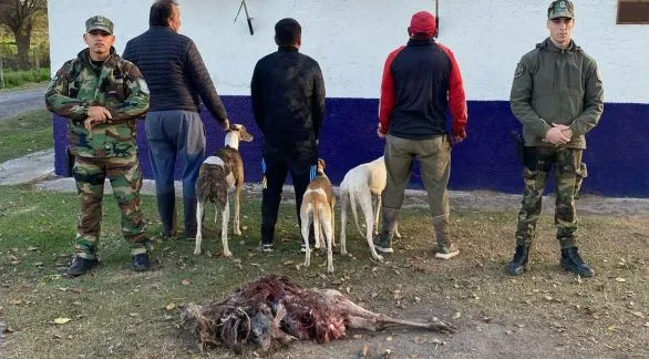 Procedimiento por caza ilegal