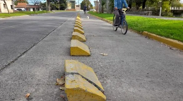 Analizan un proyecto para remodelar la ciclovía