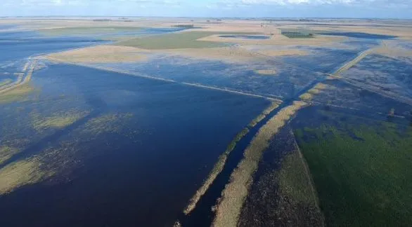 En alerta: más de la mitad de la provincia de Buenos Aires sufre excesos hídricos