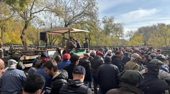 Fábrica y terneros afianzaron números