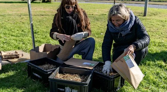 Actividad por el Día Mundial del Ambiente