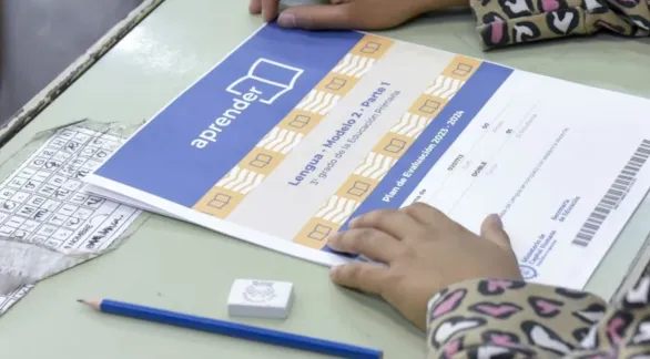 Sólo el 14,2% de los estudiantes alcanzó un nivel satisfactorio en Matemática