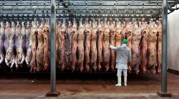 Eliminan una norma que establecía el peso mínimo de faena para bovinos