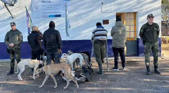 Procedimiento por caza ilegal: infraccionaron a cuatro azuleños