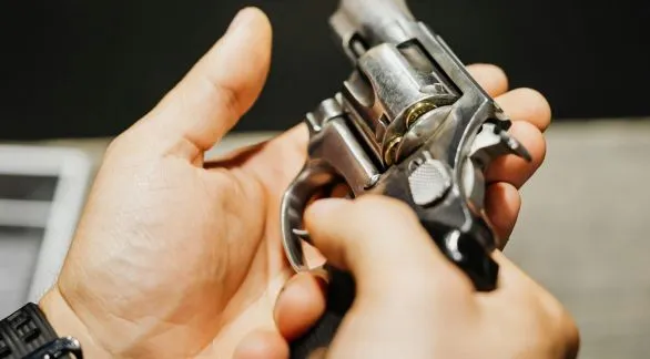 El Gobierno de Milei restituyó el Registro Nacional de Armas