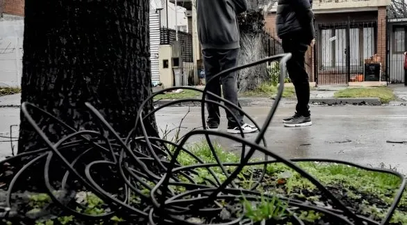 Mar del Plata: los menores que colocaron el cable mortal entre dos árboles seguirán libres