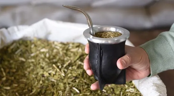 Las razones por las que es bueno para la salud tomar mate