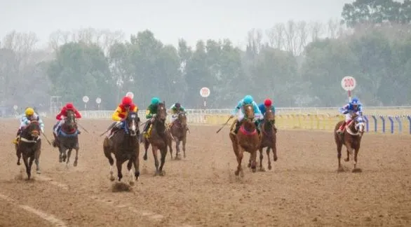 Once carreras en la octava del año