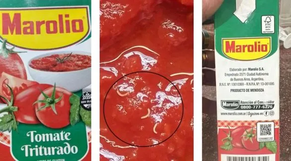 ANMAT advirtió sobre presencia de gusanos en un lote de tomate triturado