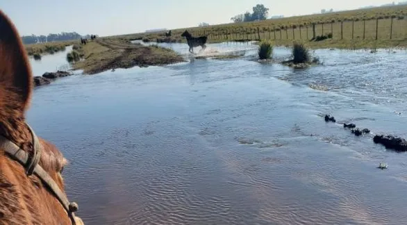 "Hacemos un llamado urgente a que se atienda  esta problemática", expresan los productores